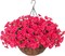 Artificial Hanging Morning Glory Flowers in Basket – UV Resistant Faux Silk for Outdoor & Home Decor (Hot Pink)